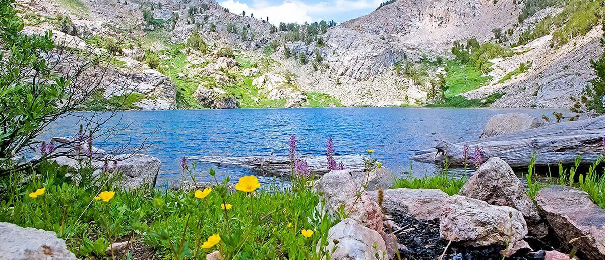 春天在内华达州雷竞技体育app