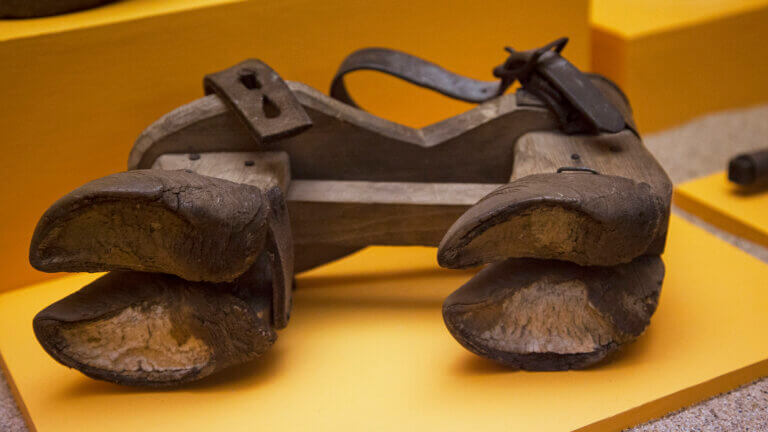 内华达州东北部博物馆雷竞技体育app