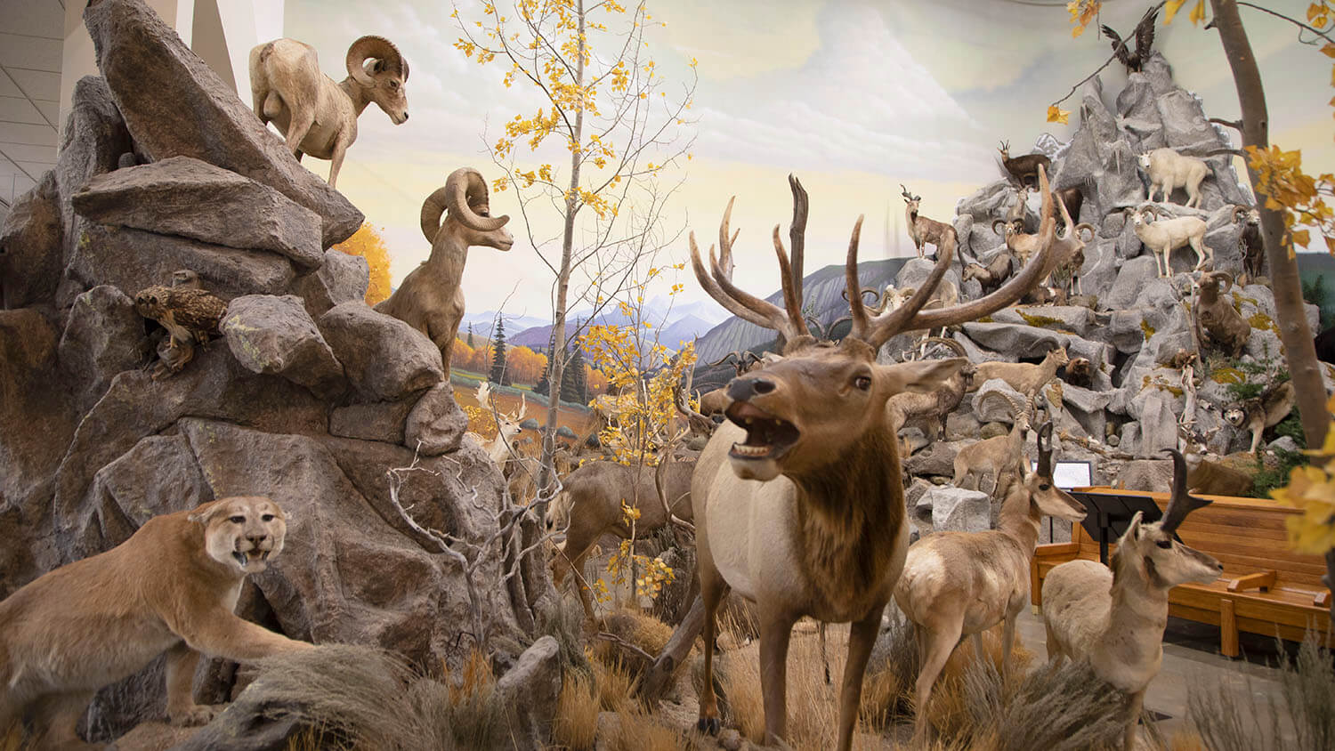 内华达州东北部博物馆雷竞技体育app