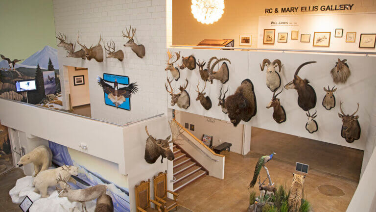 在内华达州东北部博物馆雷竞技体育app