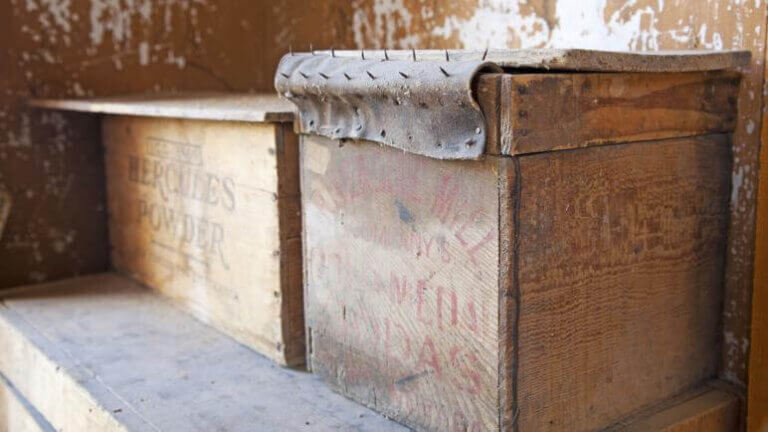 内部细节贝尔蒙特法院内华达州雷竞技体育app