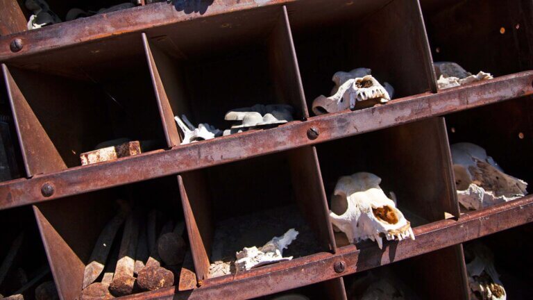 头骨techatticup我