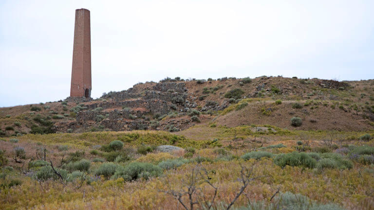 塔斯卡洛拉语埃尔郡内华达雷竞技体育app