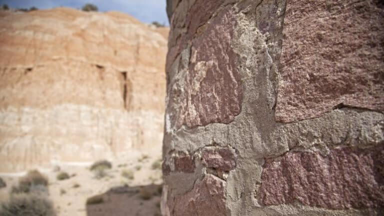 雪松的西部城市