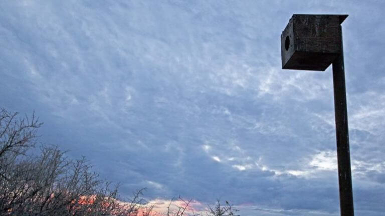 静国家野生动物保护区的天空