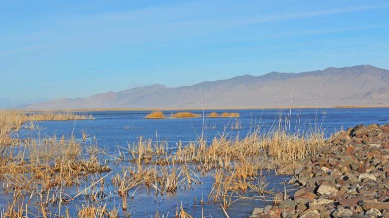 静在内华达州国家野生动物保护区雷竞技体育app