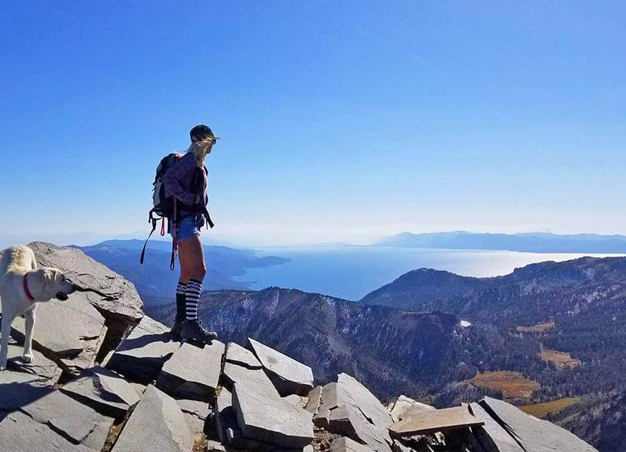 徒步旅行太玫瑰