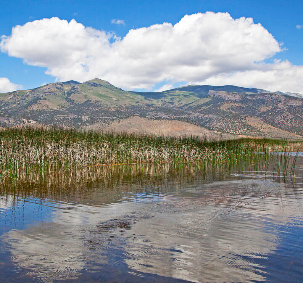 Ruby湖国家野生动物保护区