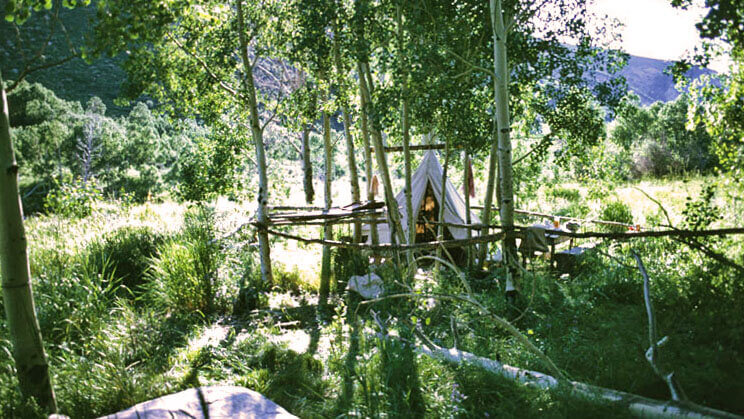 传统的巴斯克羊营